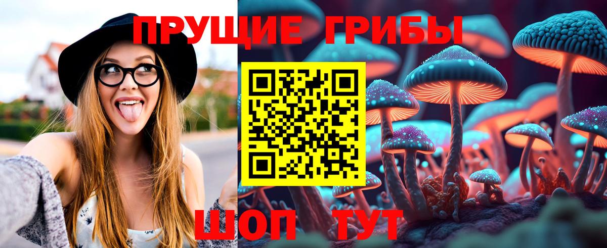 Псилоцибиновые грибы Psilocybe Ишим