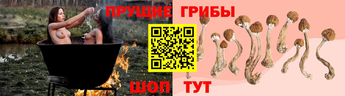 Галлюциногенные грибы Psilocybe  Псилоцибиновые грибы Psilocybine cubensis  Ишим  Вход с VPN 